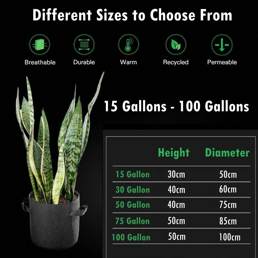 S1cad825898c44620938c71b762cc428ch