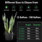 S1cad825898c44620938c71b762cc428ch