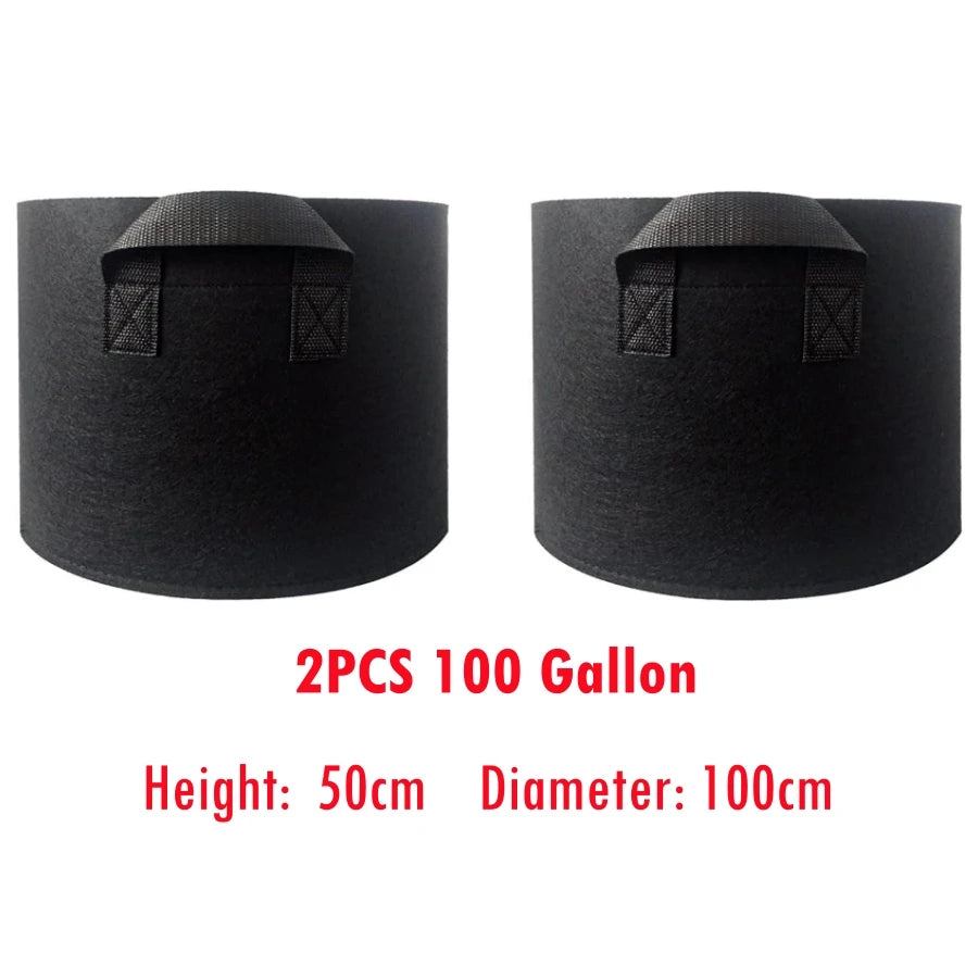 S20e718add65949269a1c216b77ab3caec