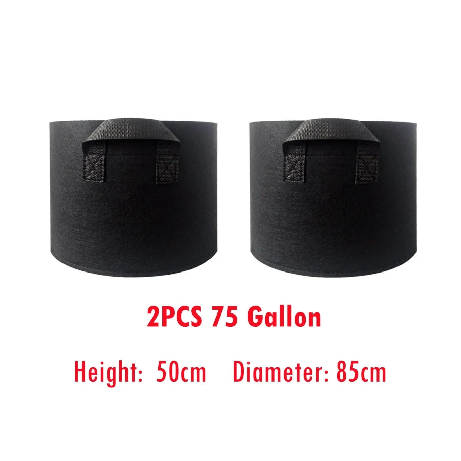 S45eb5f904aee4b07aa30fbc4202962043