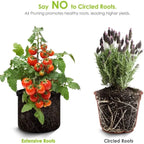 S496be0e3e7e3472692c39820fb7e3e3d7