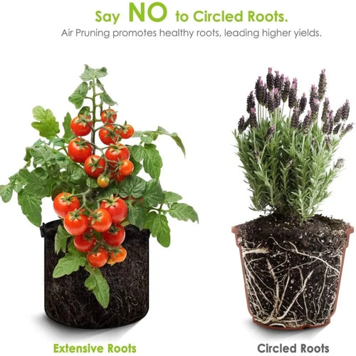 S496be0e3e7e3472692c39820fb7e3e3d7