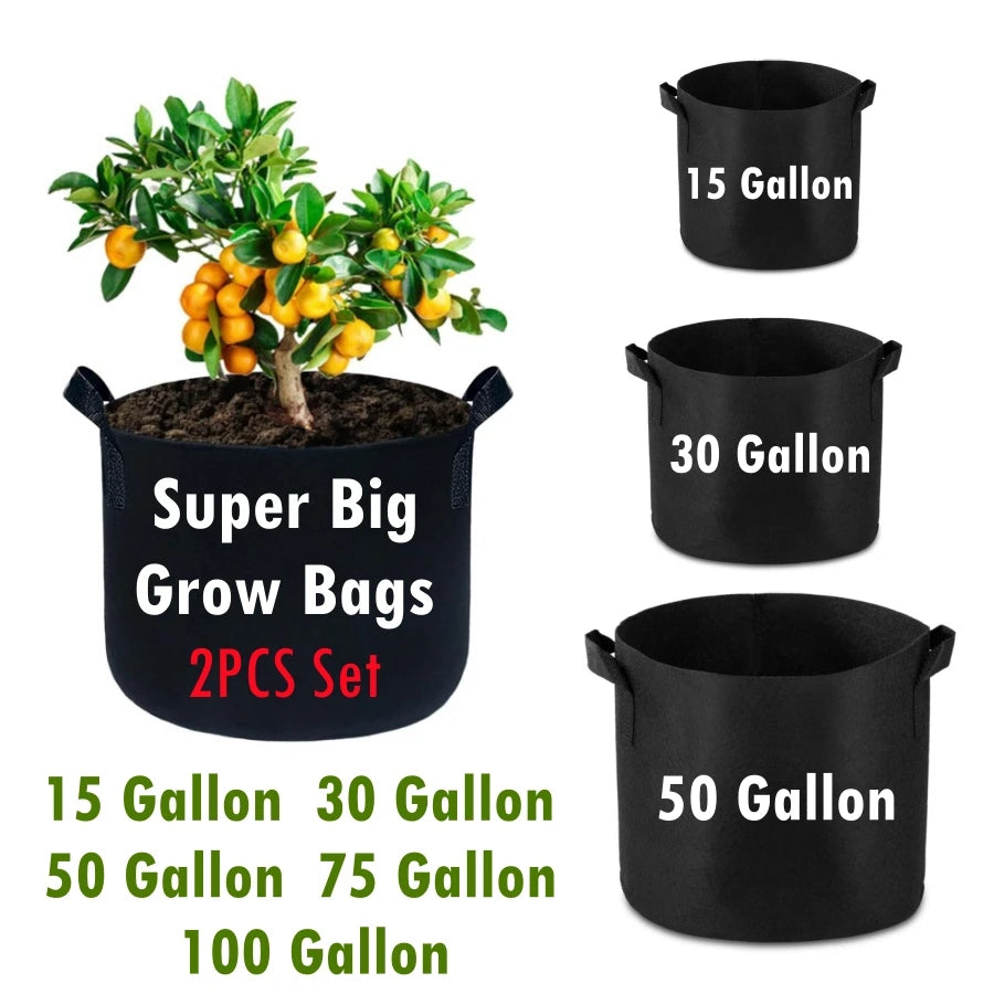 S5b5e509bdfd942fb867f3339e5a013f8p