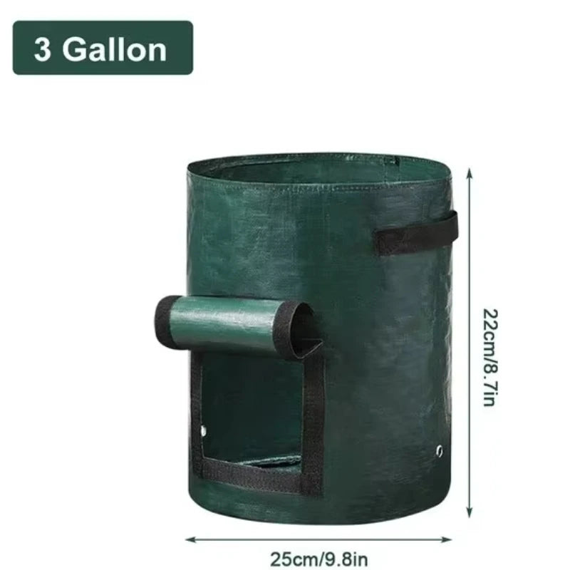 S828077a3cf1e4296ad9992dab19374d9e