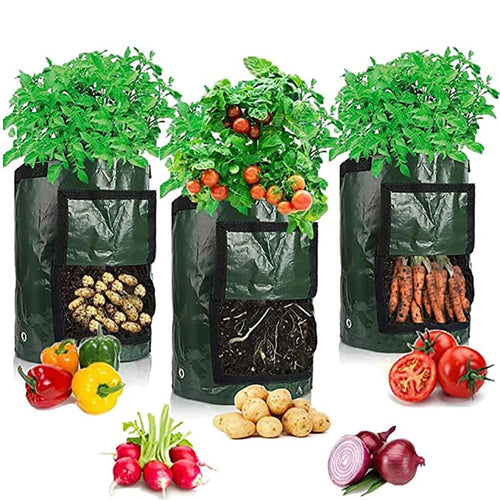 Sa2d086afceea4f65bdfe4082865d22e6t