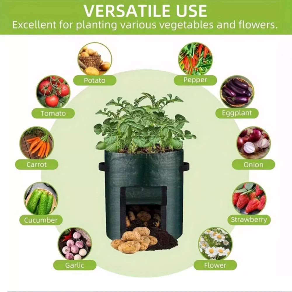 Se1a3fcd990584268a298bc78f2d1fd44q