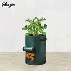 Sfc696bd055664a2b84b7148651ff6030F